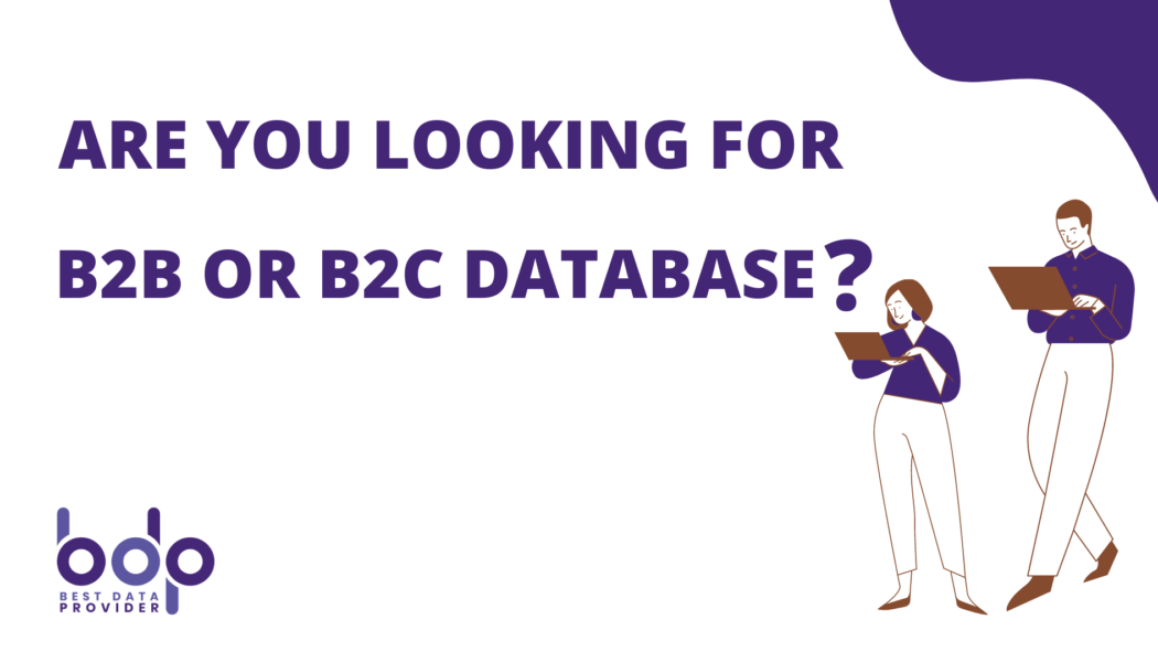 B2B or B2C Database
